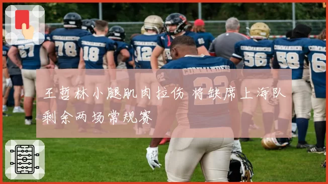 王哲林小腿肌肉拉伤 将缺席上海队剩余两场常规赛