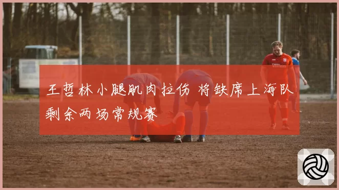 王哲林小腿肌肉拉伤 将缺席上海队剩余两场常规赛